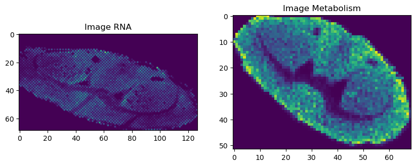 _images/Tutorial_1:_Data_pre-processing_for_SMA_data_12_1.png