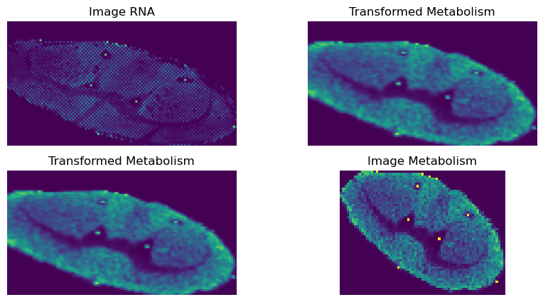 _images/Tutorial_1:_Data_pre-processing_for_SMA_data_17_0.png